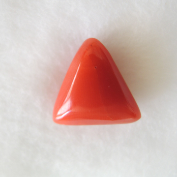 6.30ct triangle natural red-coral (mungaa) KBG-C36 by 